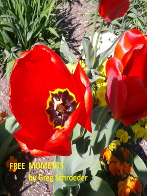 cover image of Free Moments